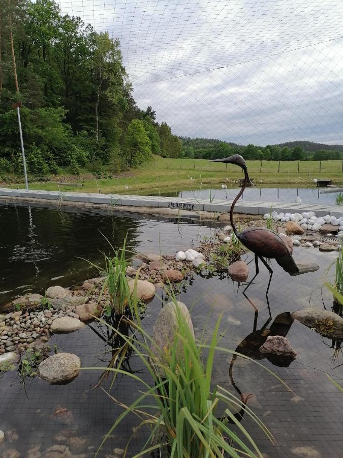 Agroturystyka Siedlisko Lubowidz  エクステリア 写真